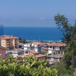 B&B Collemare